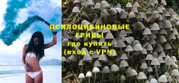 амф Абаза