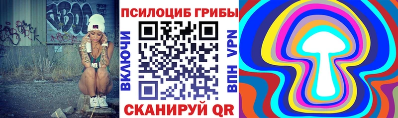 Псилоцибиновые грибы прущие грибы  Нижний Ломов 